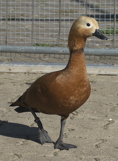 与启示