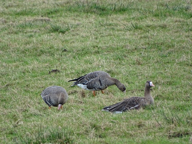 一場關鍵戰 一場關鍵戰