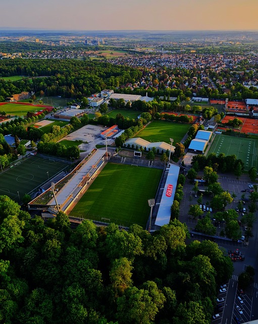 国队阵容中 国队阵容中